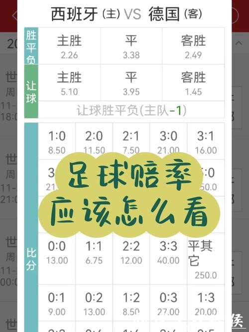 世界杯投注赔率解析与选择建议